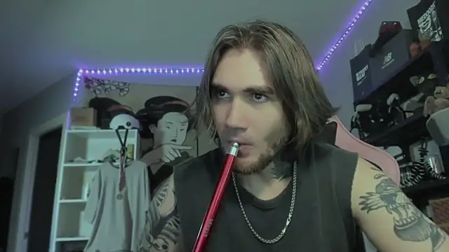 Show webcam de otiebis