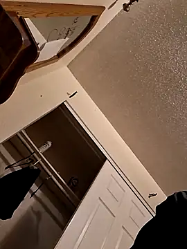 wodash9921 Show in webcam