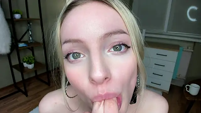 PocketDollX 웹캠 쇼