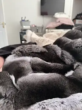 Furdale's Webcam Show