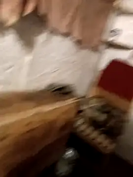 Webkamerová show vladyslav18_