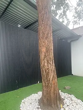 ruby_tylor_のライブXXXチャット