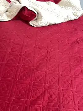 vietAnhzip 在線直播表演