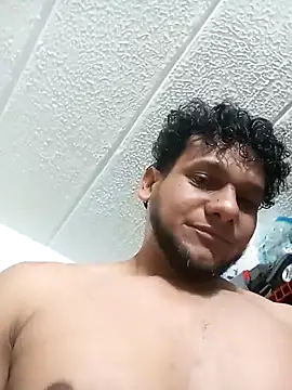 Show Webcam de prototipoA45