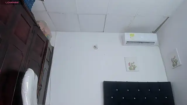 barbie_dsのウェブカメラショー