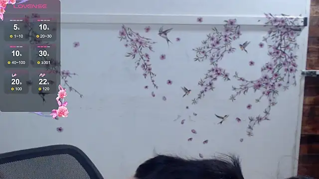 Ginebra_Sensual 即時 XXX 聊天