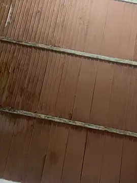 Show de alrricmo na webcam