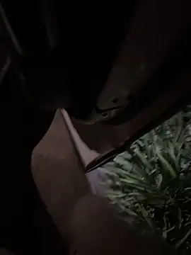 littleqiuのライブXXXチャット