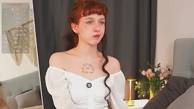 Show modela LeelooYolo na web-kameri