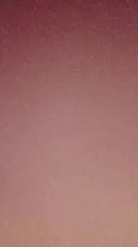 nakedgarbageperson's Live XXX Chat