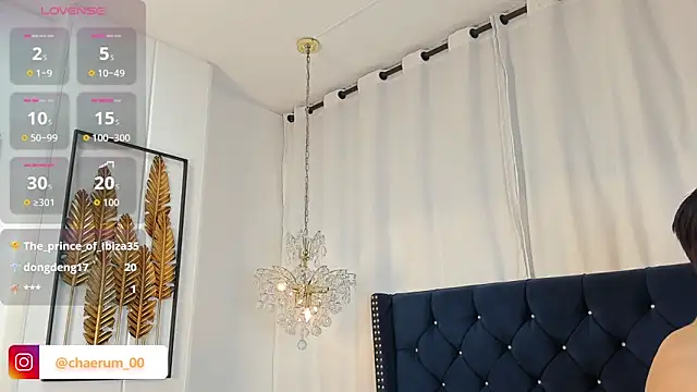 AerumChae 网络视讯表演