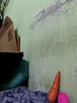 Webkamerová show Tamilselviroja-