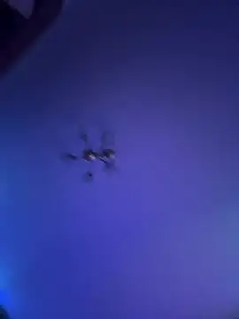 Evelinia webkamerás műsora