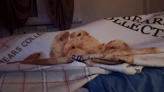 PierRiminiX Adlı Modelin Web Kamerası Şovu