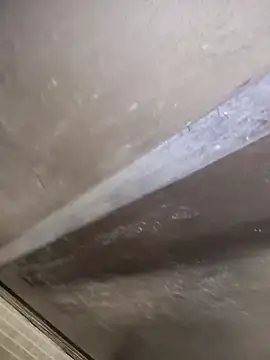 Osito_HOTのウェブカメラショー