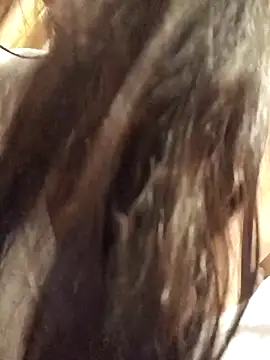 Pertunjukan Kamera Web eva750