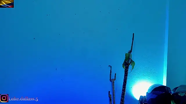 zeus_7777 现场XXX聊天