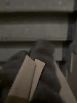 Marina- Obrolan Langsung XXX