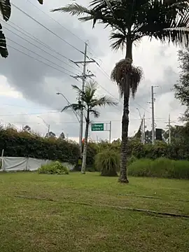 AliceMrtnz – webcam-show