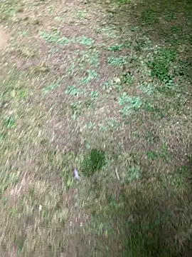 AlyssaFoxx_のライブXXXチャット