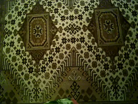 FayInessaKiss Live XXX-Chat