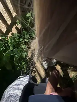 AlyssaFoxx_ Webcam show