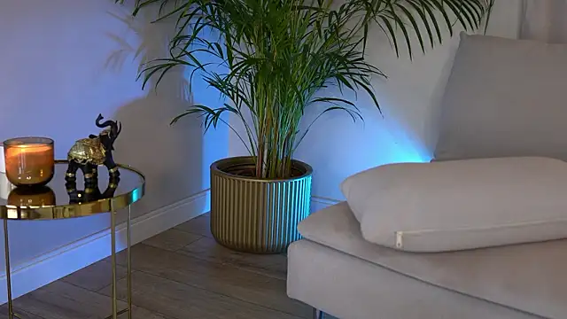 Tinydoll_XO's Live XXX Chat