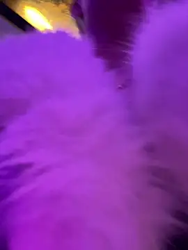 AnastasiaAniess Live XXX Chat