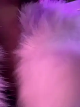 Show de AnastasiaAniess na webcam