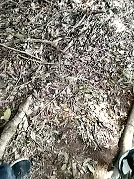 ZarayNero live XXX chat