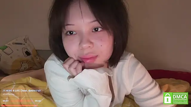 Show Webcam de imsora