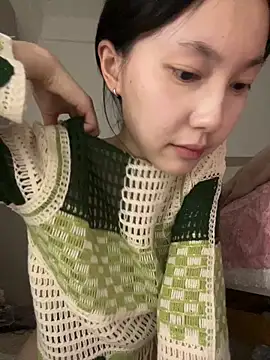 Show Webcam de DD-5200