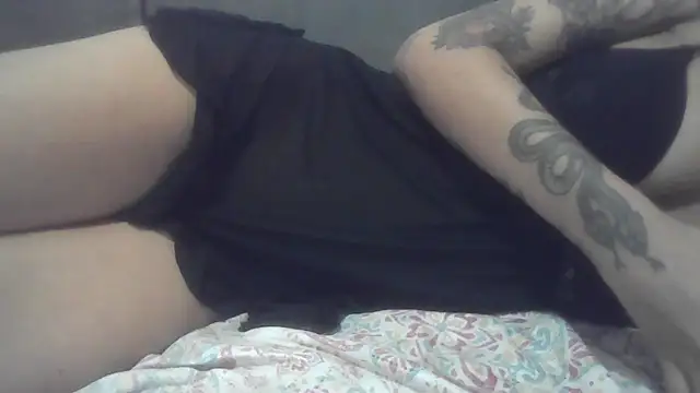 Show de tinkerlu na webcam