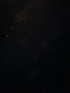 The_first_psychic_on_SC 라이브 XXX 채팅