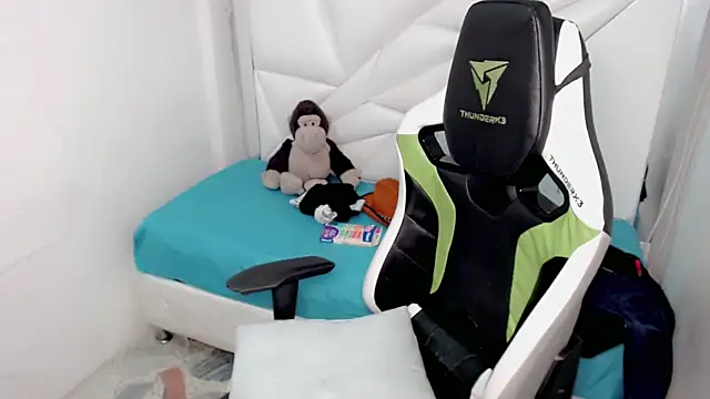 Liarr_のウェブカメラショー