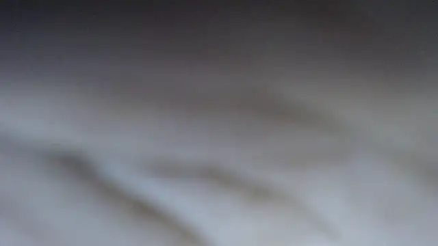 swt_shadow Live XXX-Chat