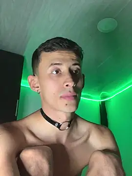 Emil_prln Webbikameraesitys