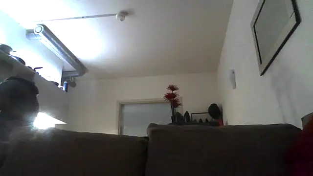 Chat +18 de THE_CHEEKY_ALPHA ao vivo