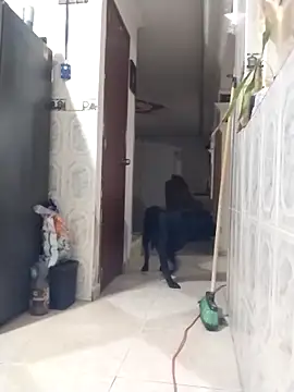 Show de webcam de Juanstevan2724