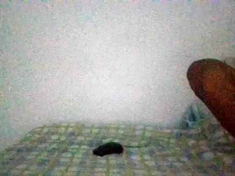 mellow_smoke: вебкам-шоу