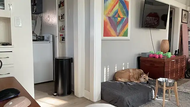 dreamyriri: вебкам-шоу