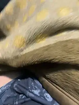 XXX chat uživo modela mightyythorrrr