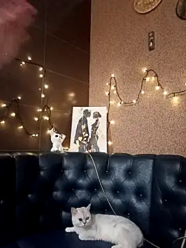 Вебкам-шоу angel_demon17