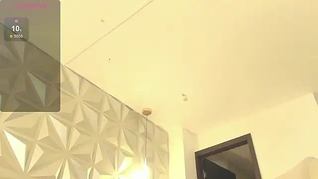 dominicjonnes – Kamerová šou