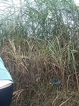 nangmo's Webcam Show