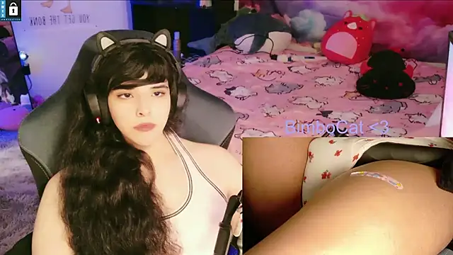 BimboCatのウェブカメラショー