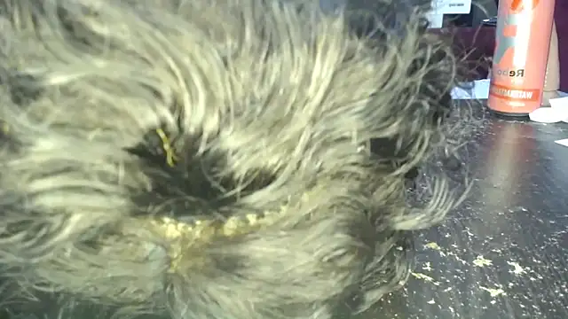 EbonyfancyfaceのライブXXXチャット