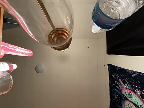 Chat +18 de venusfairys ao vivo