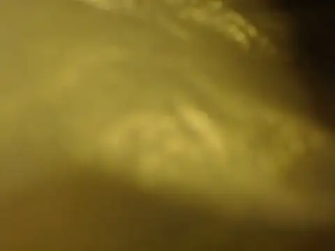 Chat XXX Live VideoArtist