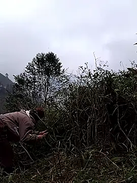 Chat XXX Live lovely-742